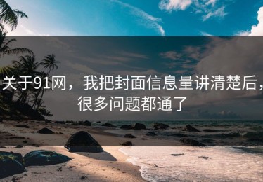 关于91网，我把封面信息量讲清楚后，很多问题都通了