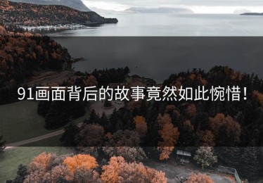 91画面背后的故事竟然如此惋惜！