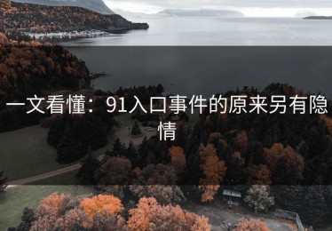 一文看懂：91入口事件的原来另有隐情