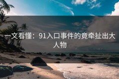 一文看懂：91入口事件的竟牵扯出大人物