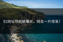 91网址导航被曝光，网友一片惊呆！