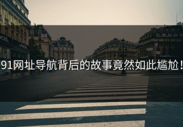 91网址导航背后的故事竟然如此尴尬！