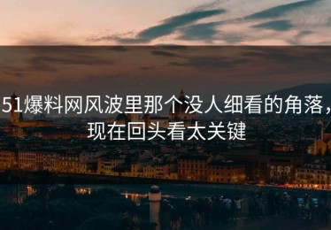 51爆料网风波里那个没人细看的角落，现在回头看太关键