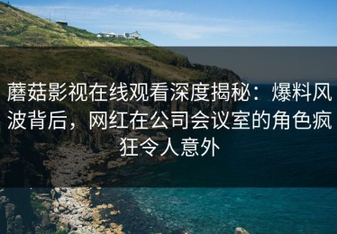蘑菇影视在线观看深度揭秘：爆料风波背后，网红在公司会议室的角色疯狂令人意外