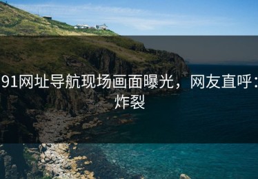 91网址导航现场画面曝光，网友直呼：炸裂