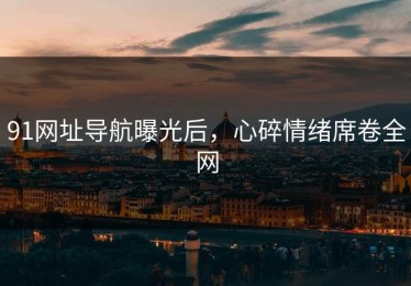 91网址导航曝光后，心碎情绪席卷全网