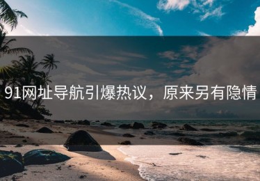 91网址导航引爆热议，原来另有隐情