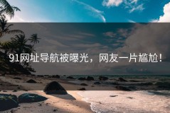 91网址导航被曝光，网友一片尴尬！
