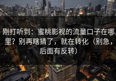 刚打听到：蜜桃影视的流量口子在哪里？别再瞎猜了，就在转化（别急，后面有反转）