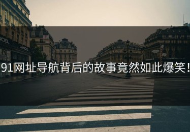 91网址导航背后的故事竟然如此爆笑！