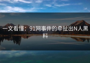 一文看懂：91网事件的牵扯出N人黑料