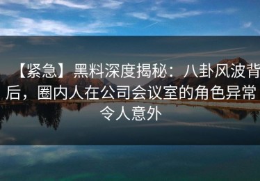 【紧急】黑料深度揭秘：八卦风波背后，圈内人在公司会议室的角色异常令人意外