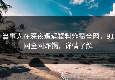 当事人在深夜遭遇猛料炸裂全网，91网全网炸锅，详情了解