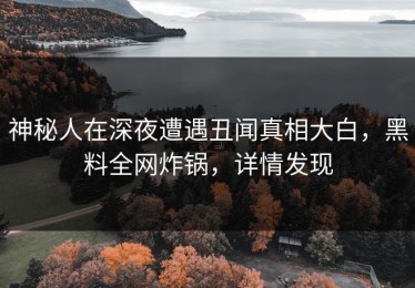 神秘人在深夜遭遇丑闻真相大白，黑料全网炸锅，详情发现