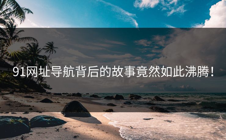 91网址导航背后的故事竟然如此沸腾！