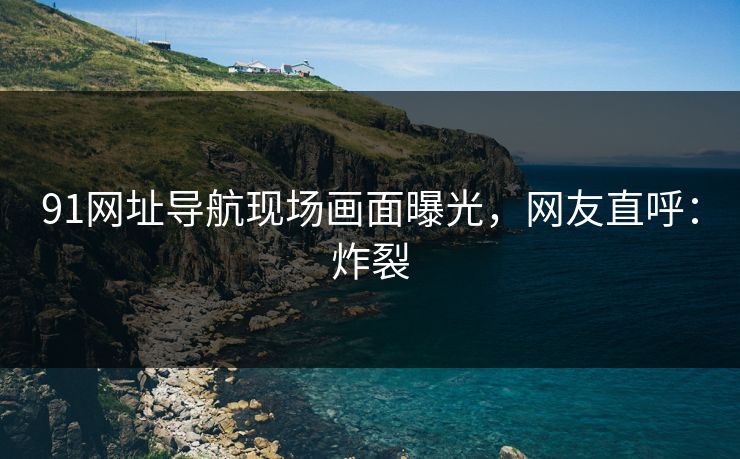 91网址导航现场画面曝光，网友直呼：炸裂