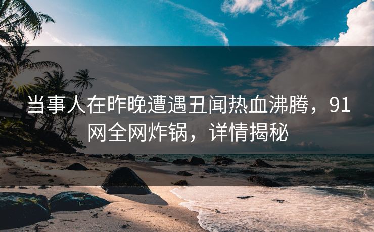 当事人在昨晚遭遇丑闻热血沸腾，91网全网炸锅，详情揭秘