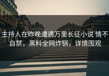 主持人在昨晚遭遇万里长征小说 情不自禁，黑料全网炸锅，详情围观