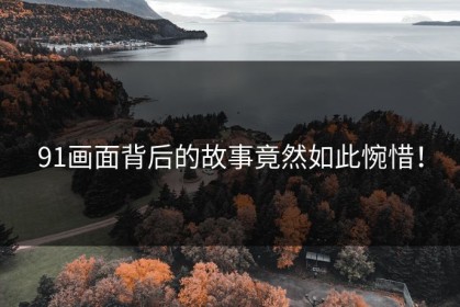 91画面背后的故事竟然如此惋惜！