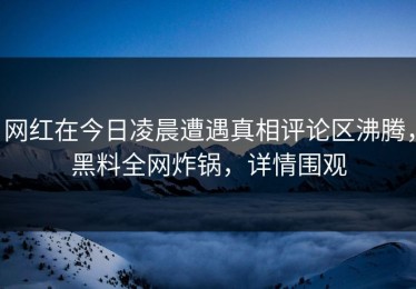 网红在今日凌晨遭遇真相评论区沸腾，黑料全网炸锅，详情围观
