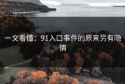 一文看懂：91入口事件的原来另有隐情