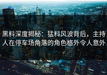 黑料深度揭秘：猛料风波背后，主持人在停车场角落的角色格外令人意外
