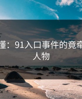 一文看懂：91入口事件的竟牵扯出大人物