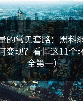 灰色流量的常见套路：黑料網的灰色流量如何变现？看懂这11个环节（安全第一）