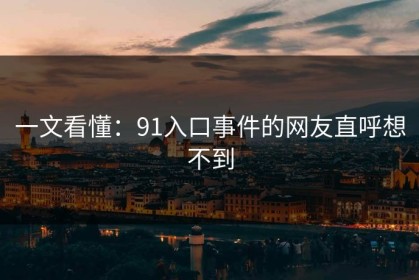 一文看懂：91入口事件的网友直呼想不到