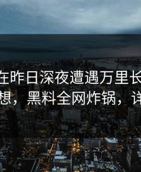 圈内人在昨日深夜遭遇万里长征小说 引发联想，黑料全网炸锅，详情揭秘