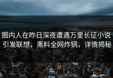 圈内人在昨日深夜遭遇万里长征小说 引发联想，黑料全网炸锅，详情揭秘