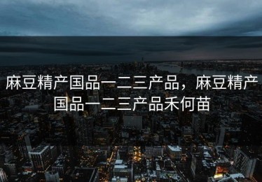 麻豆精产国品一二三产品，麻豆精产国品一二三产品禾何苗