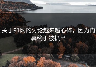 关于91网的讨论越来越心碎，因为内幕终于被扒出