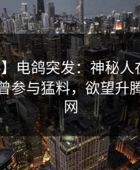 【爆料】电鸽突发：神秘人在昨日深夜被曝曾参与猛料，欲望升腾席卷全网