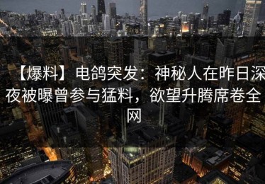 【爆料】电鸽突发：神秘人在昨日深夜被曝曾参与猛料，欲望升腾席卷全网