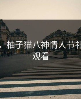 柚子猫，柚子猫八神情人节礼物在线观看