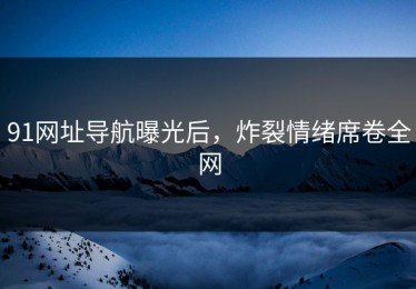 91网址导航曝光后，炸裂情绪席卷全网