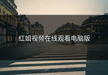 红姐视频在线观看电脑版