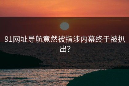 91网址导航竟然被指涉内幕终于被扒出？