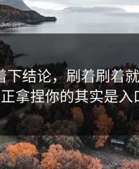 先别急着下结论，刷着刷着就上头？91网真正拿捏你的其实是入口理解