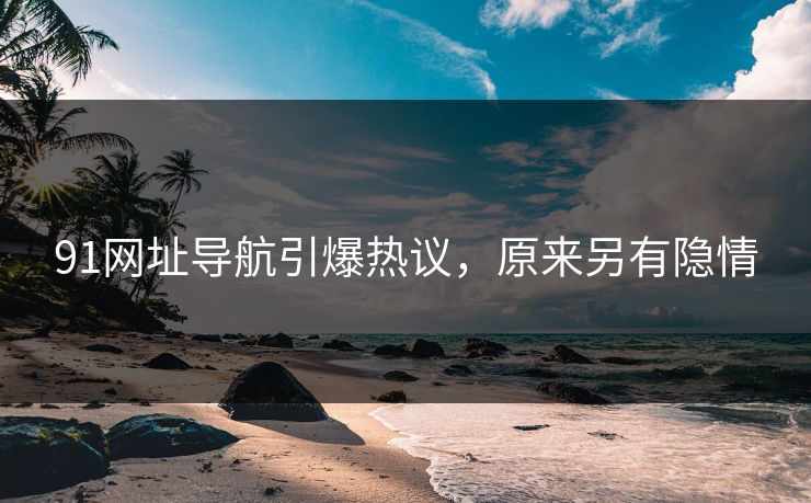 91网址导航引爆热议，原来另有隐情