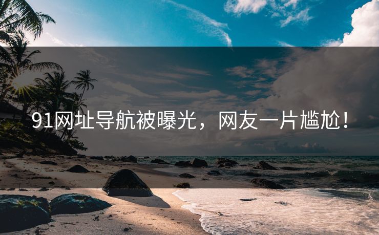 91网址导航被曝光，网友一片尴尬！