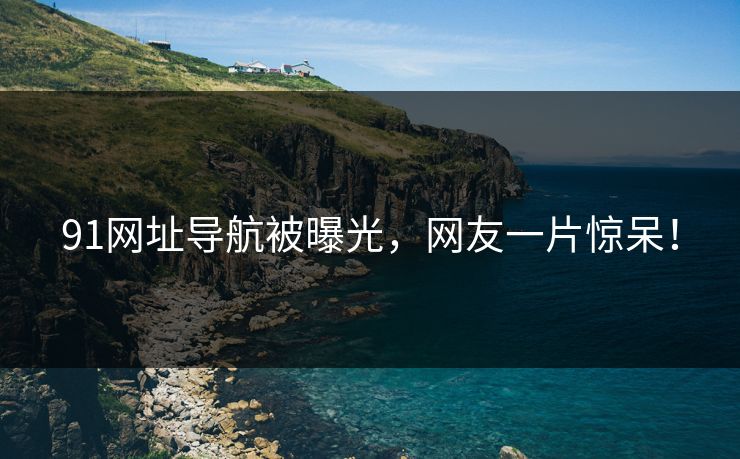 91网址导航被曝光，网友一片惊呆！