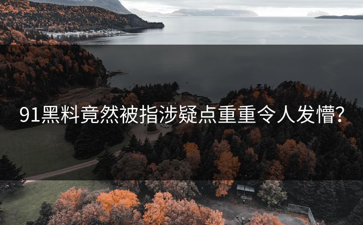 91黑料竟然被指涉疑点重重令人发懵？