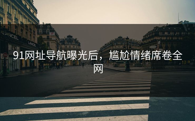 91网址导航曝光后，尴尬情绪席卷全网