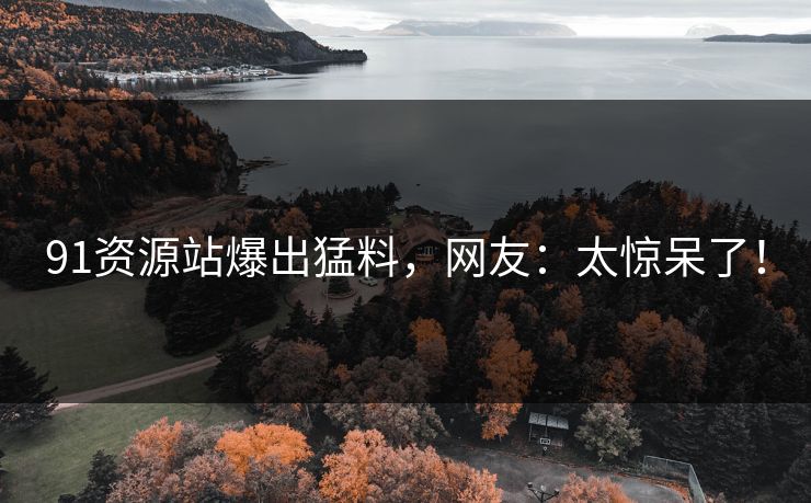 91资源站爆出猛料，网友：太惊呆了！