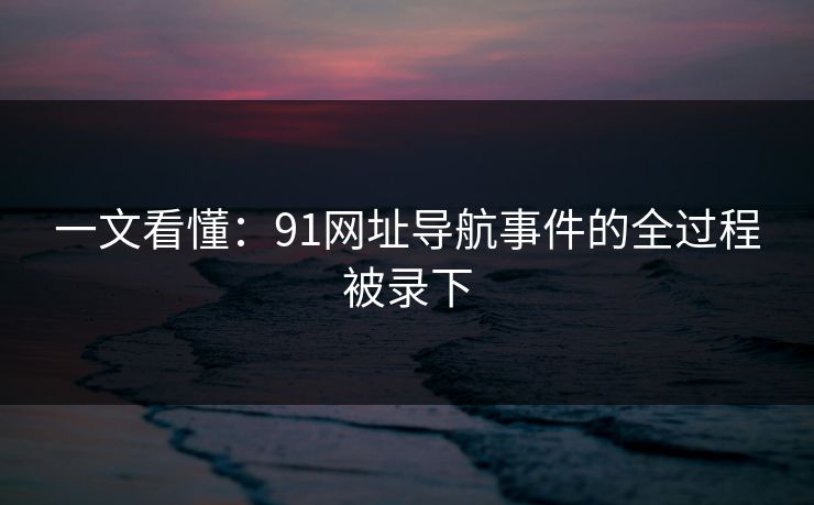 一文看懂：91网址导航事件的全过程被录下