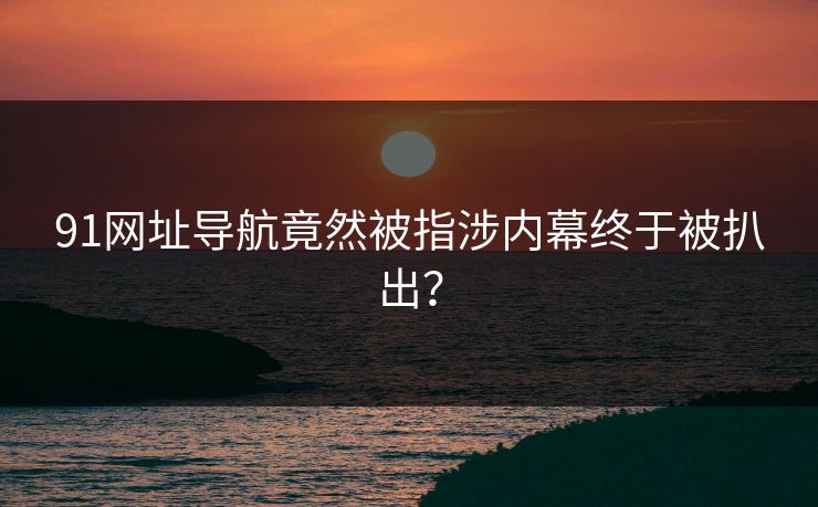 91网址导航竟然被指涉内幕终于被扒出？