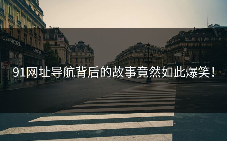91网址导航背后的故事竟然如此爆笑！