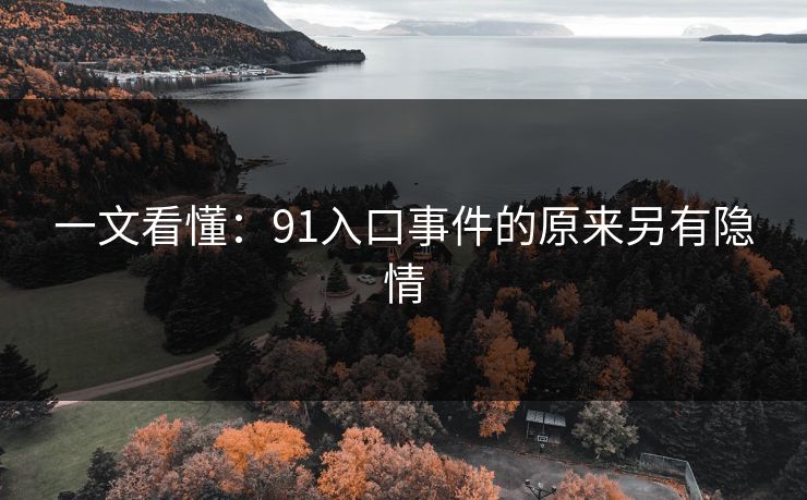 一文看懂：91入口事件的原来另有隐情